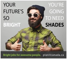 careers careers